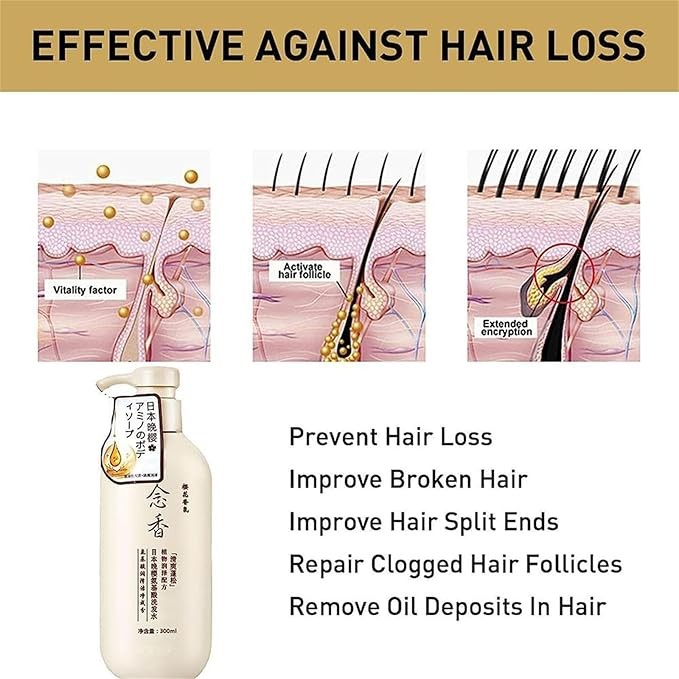 شامبو ساكورا الياباني